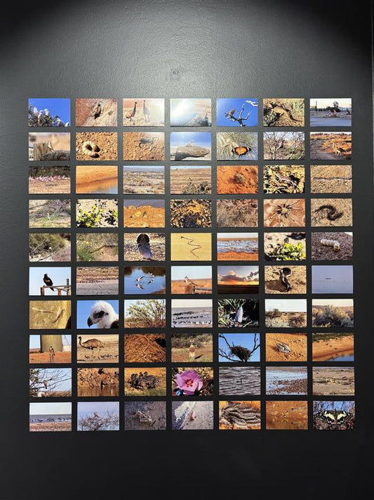 Reg Dodd - Creatures of the Lake Eyre Basin from the exhibition Reg Dodd: Arabunna wadlhu